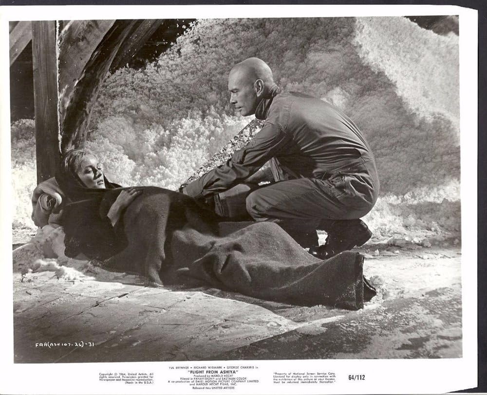 あしやからの飛行の画像