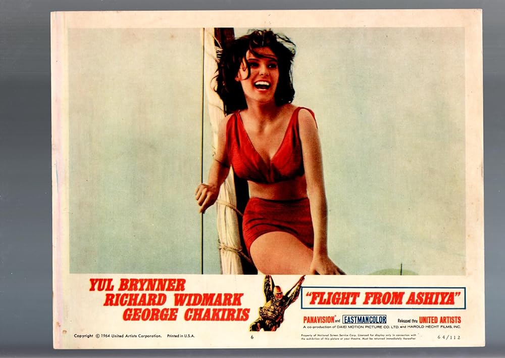 あしやからの飛行の画像