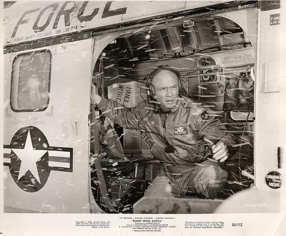 あしやからの飛行の画像