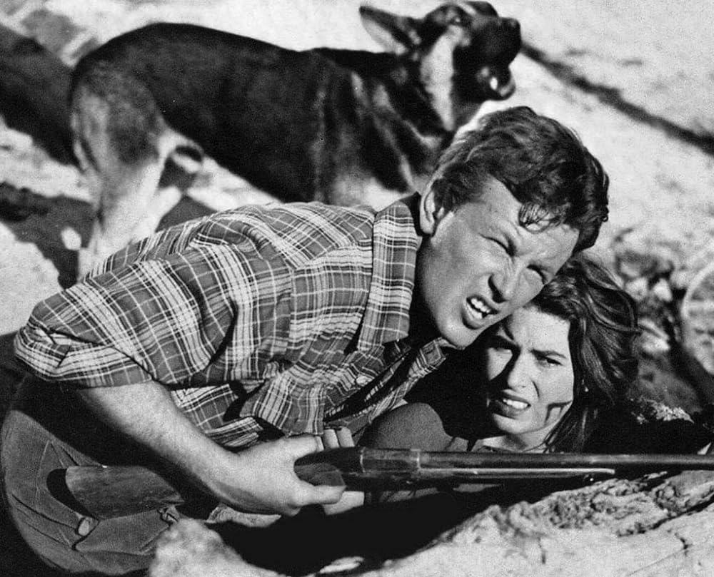 シーラ山の狼の画像