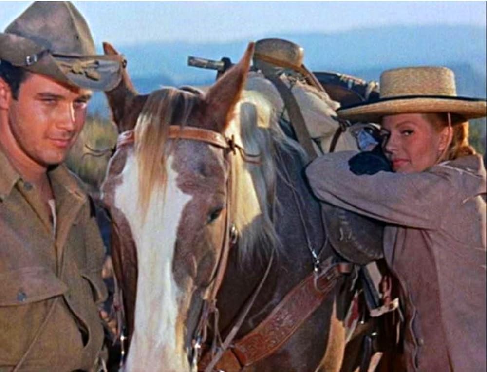 コルドラへの道の画像