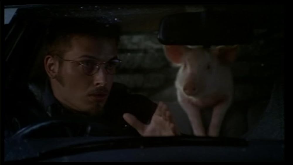 ハーモニーの画像