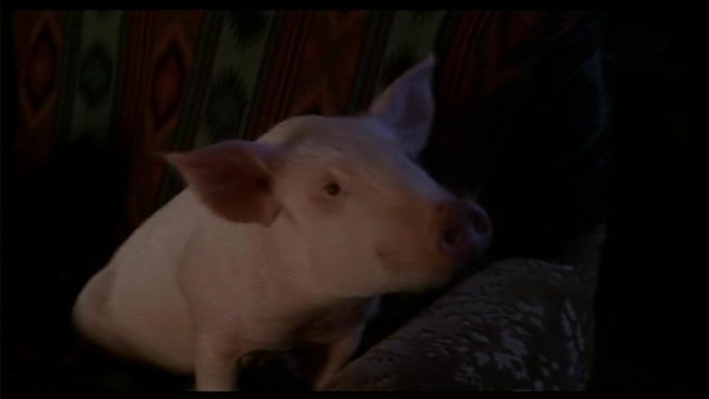 ハーモニーの画像