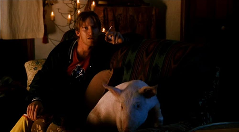 ハーモニーの画像