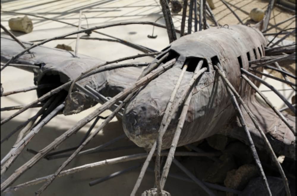 アンゼルム “傷ついた世界”の芸術家の画像