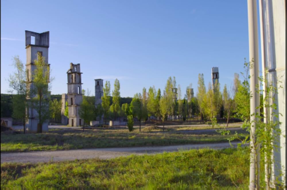 アンゼルム “傷ついた世界”の芸術家の画像