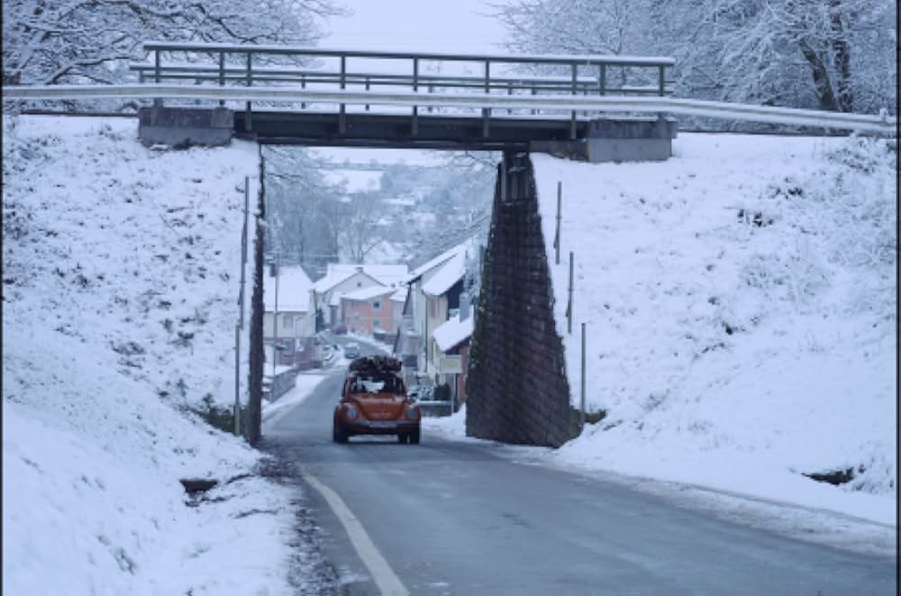 アンゼルム “傷ついた世界”の芸術家の画像