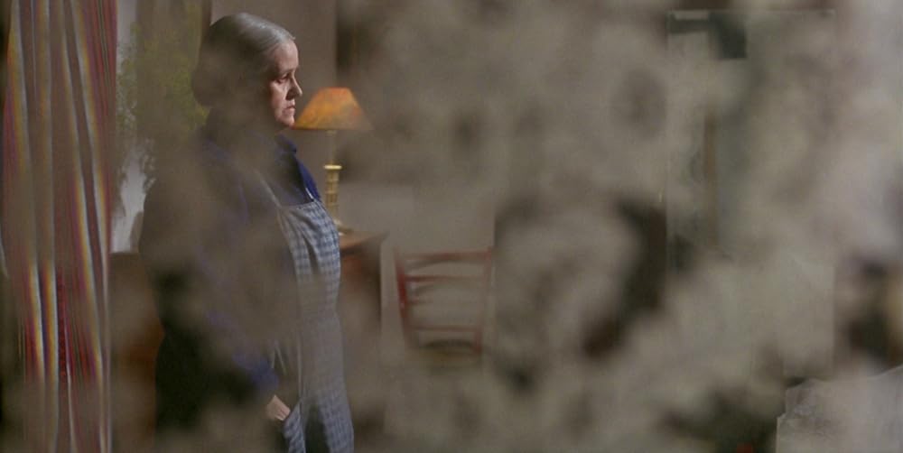 私の秘密の花の画像