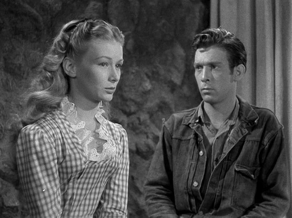 復讐の二連銃の画像