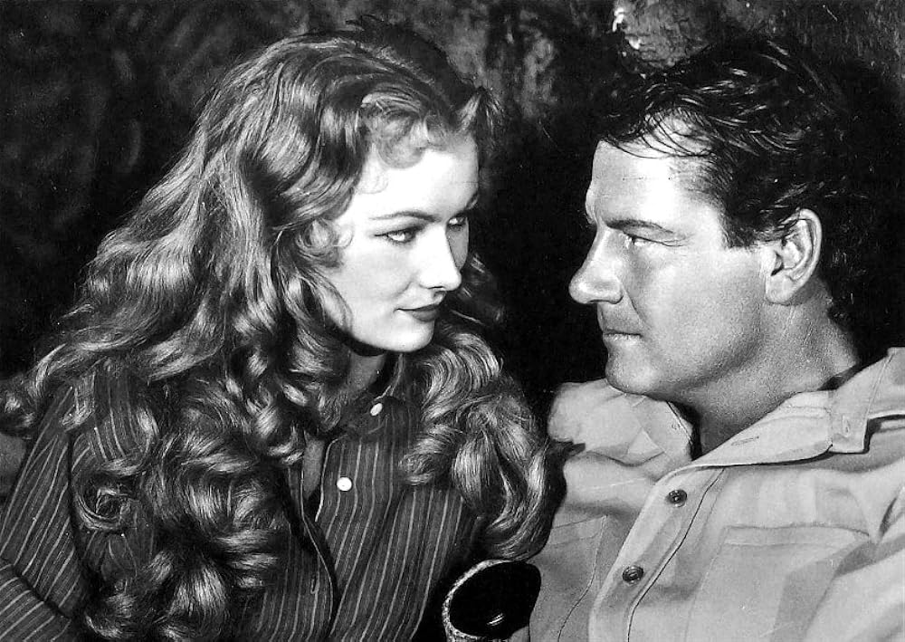 復讐の二連銃の画像