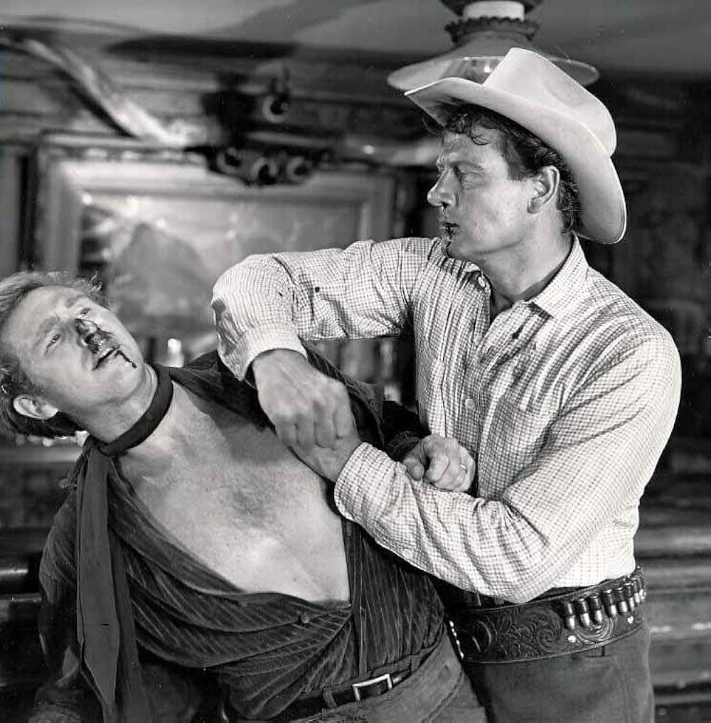 復讐の二連銃の画像