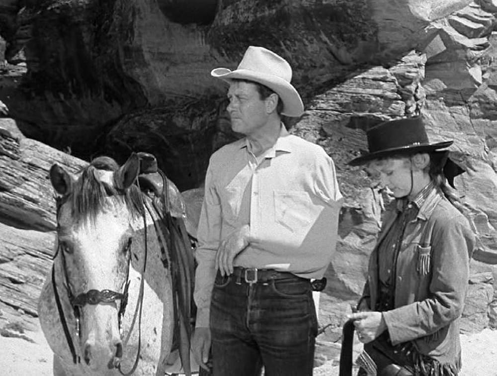 復讐の二連銃の画像