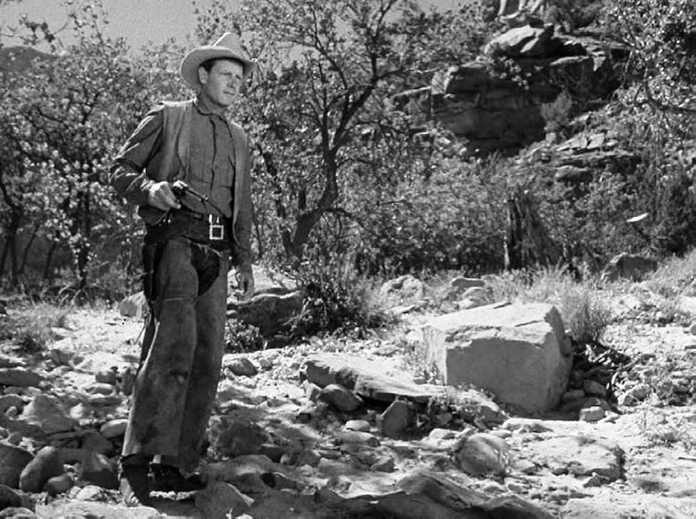 復讐の二連銃の画像