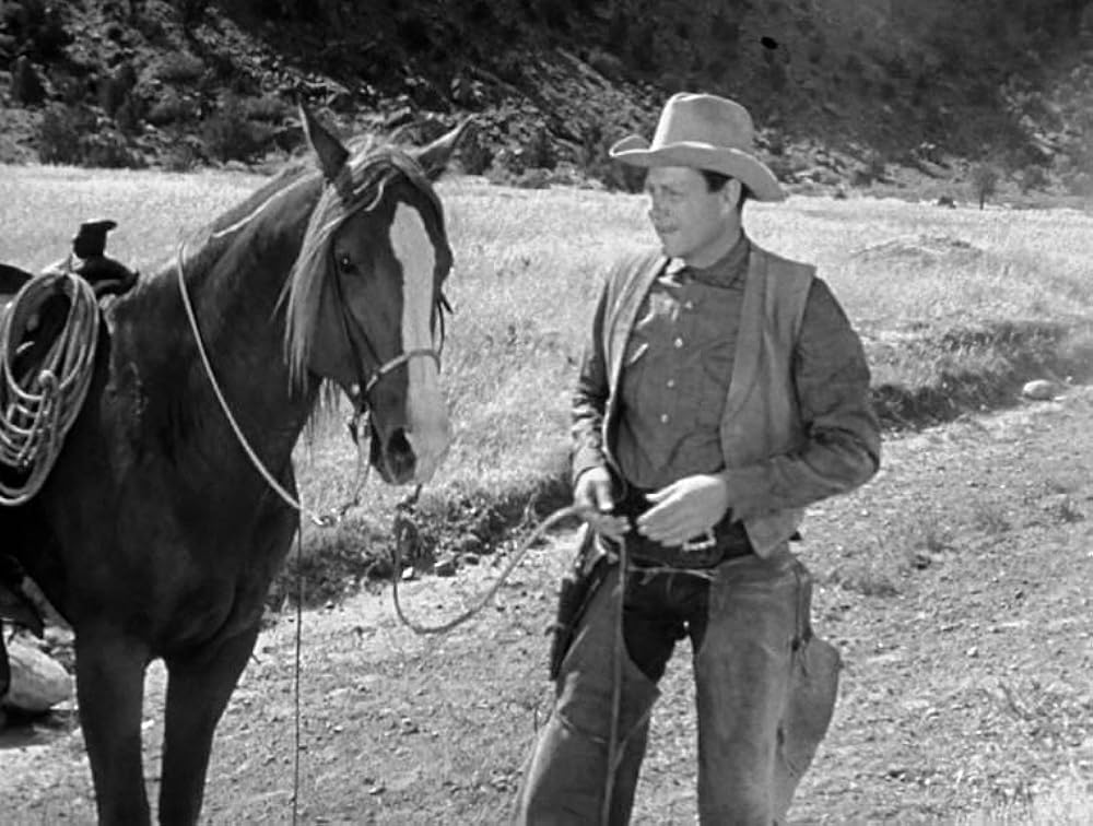 復讐の二連銃の画像