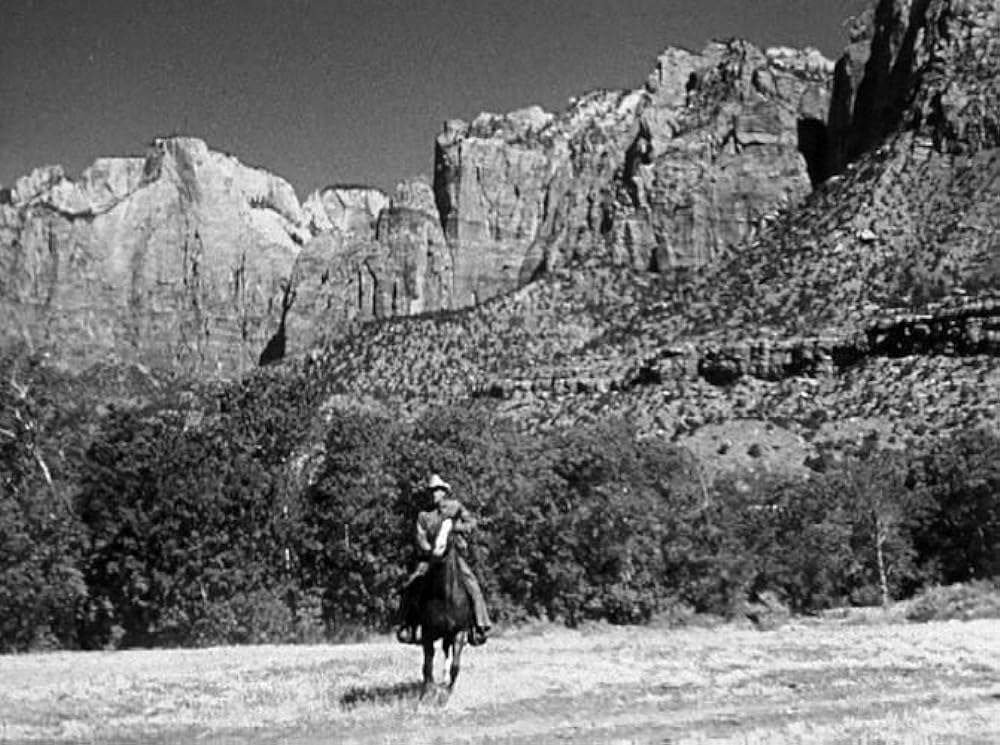 復讐の二連銃の画像