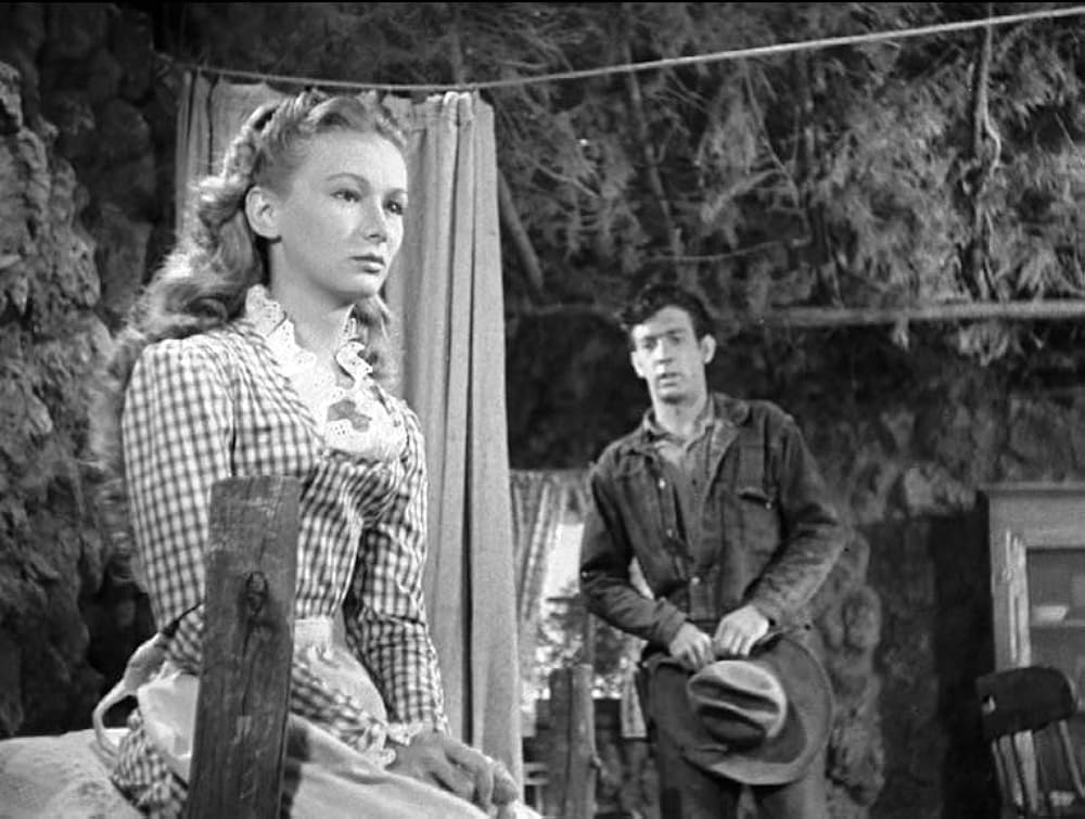 復讐の二連銃の画像