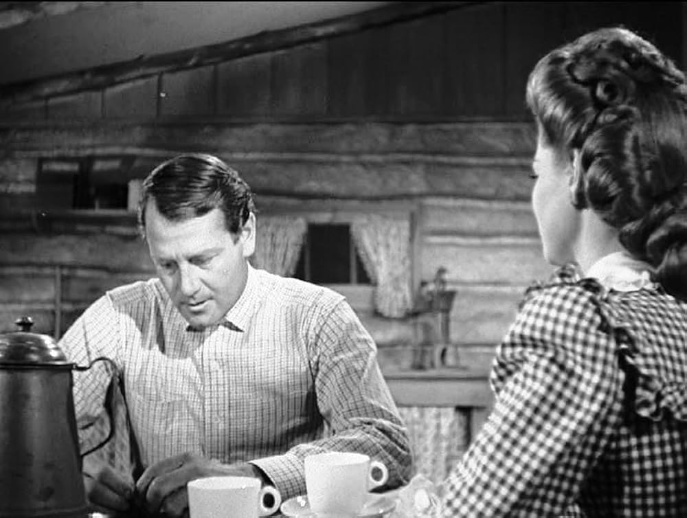 復讐の二連銃の画像