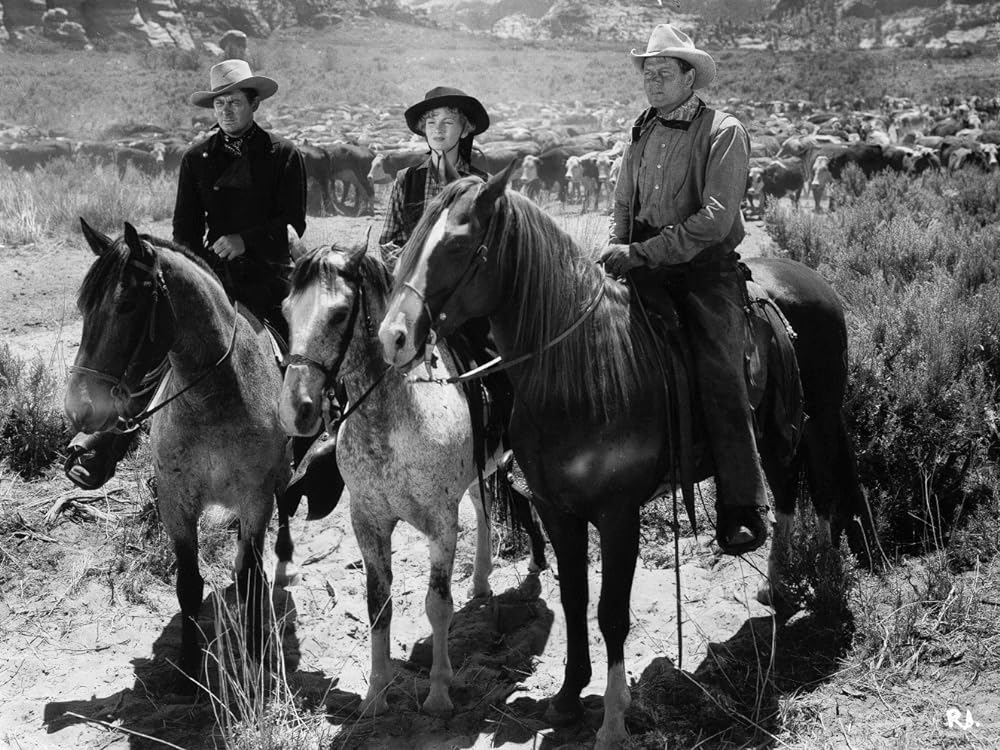 復讐の二連銃の画像