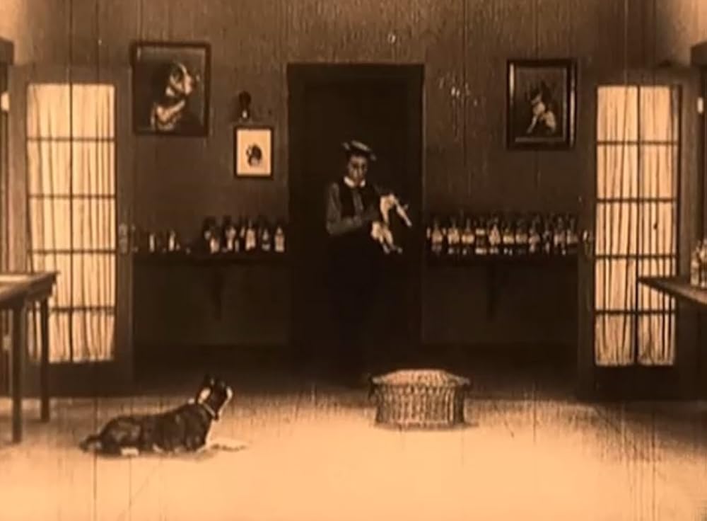 成功成功／キートンの白日夢の画像