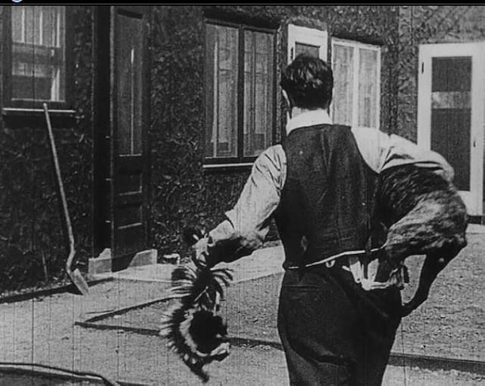 成功成功／キートンの白日夢の画像