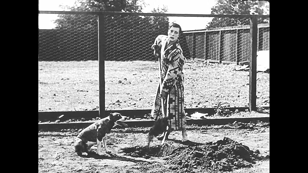 成功成功／キートンの白日夢の画像