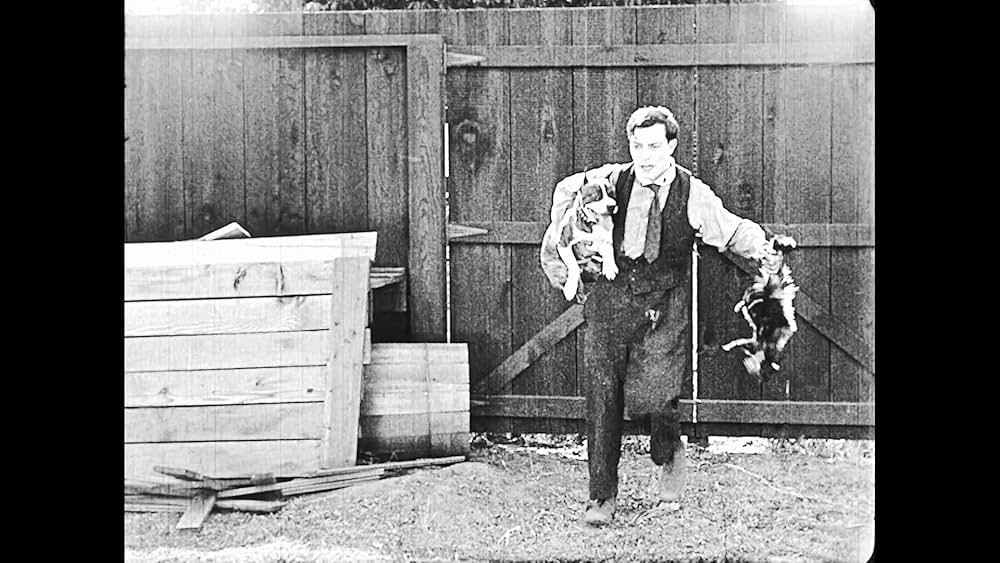 成功成功／キートンの白日夢の画像