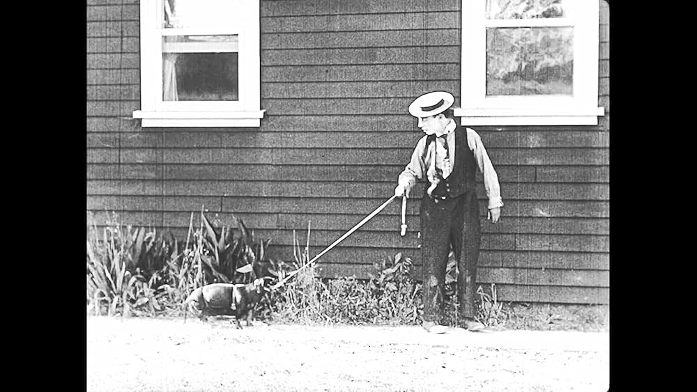 成功成功／キートンの白日夢の画像