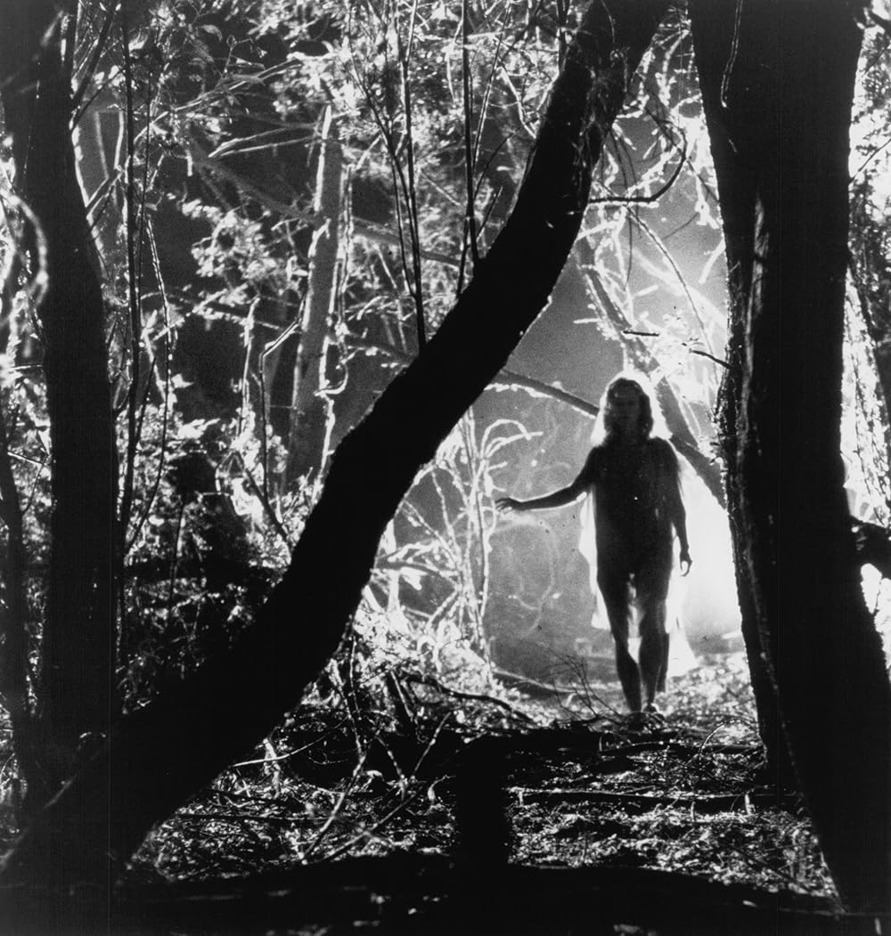 ガーディアン／森は泣いているの画像