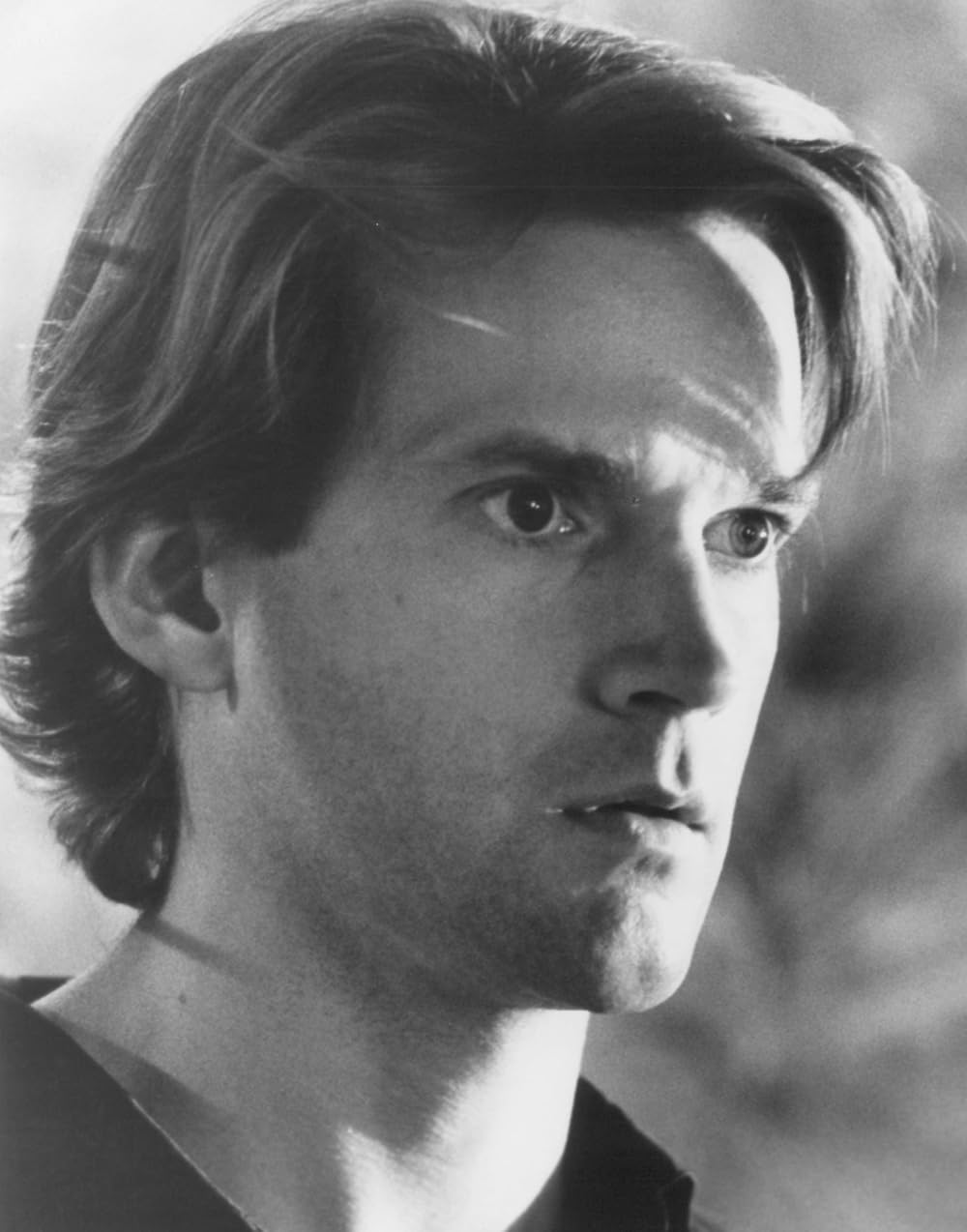 ガーディアン／森は泣いているの画像