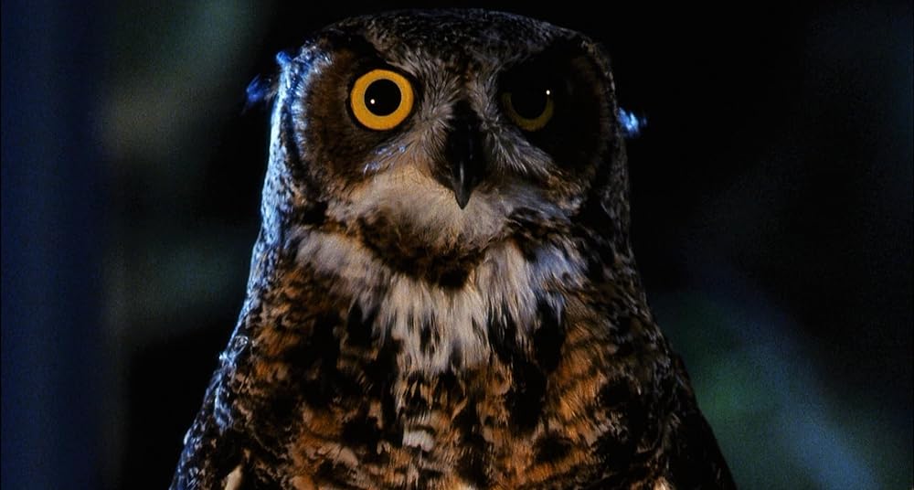 ガーディアン／森は泣いているの画像