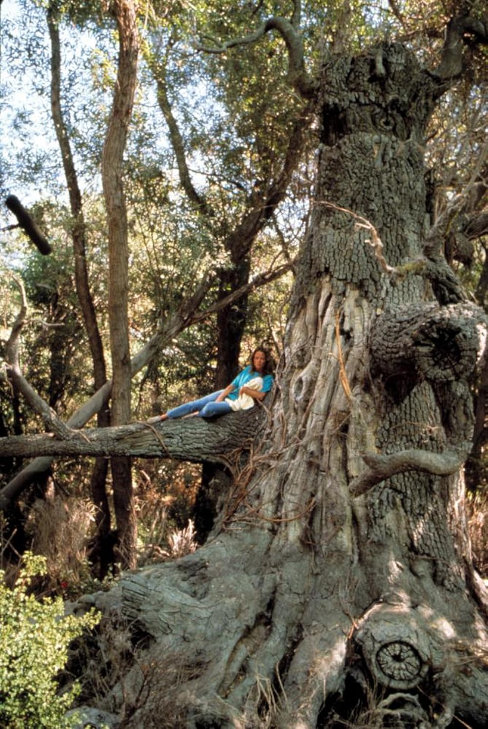 ガーディアン／森は泣いているの画像