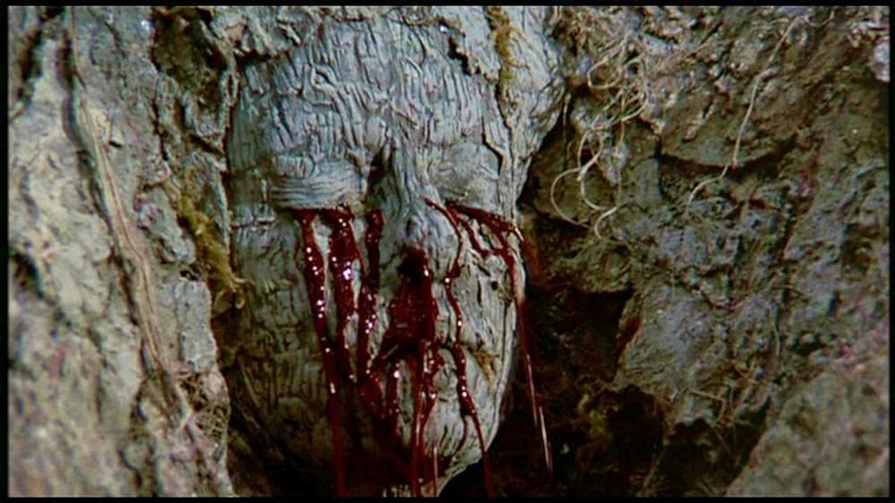 ガーディアン／森は泣いているの画像