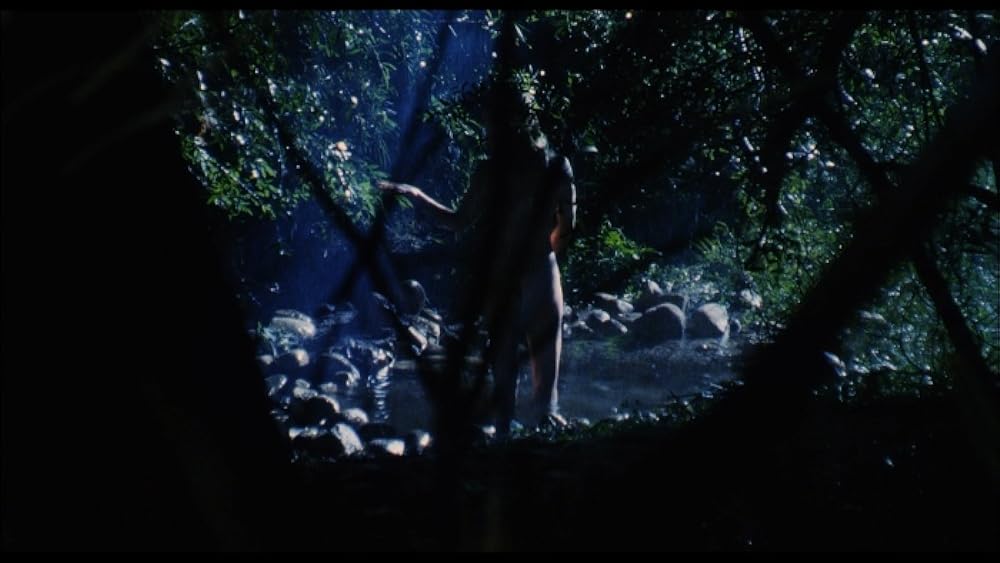 ガーディアン／森は泣いているの画像