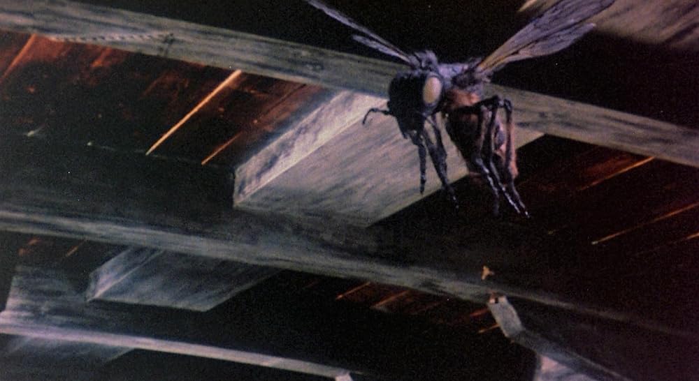 シンドバッド虎の目大冒険の画像