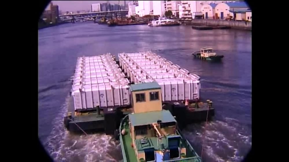 東京ゴミ女の画像