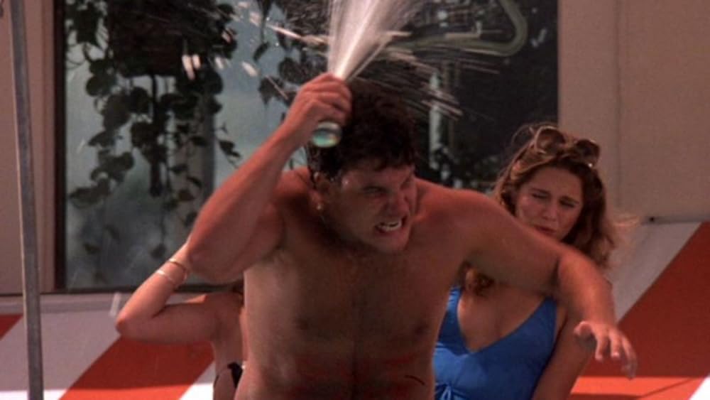 スプリング・ブレイクの画像