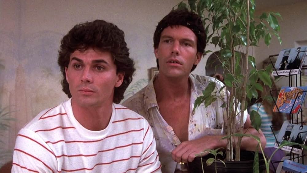 スプリング・ブレイクの画像