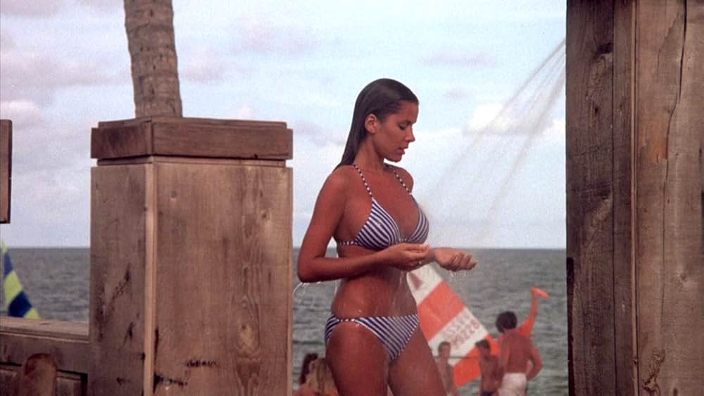 スプリング・ブレイクの画像