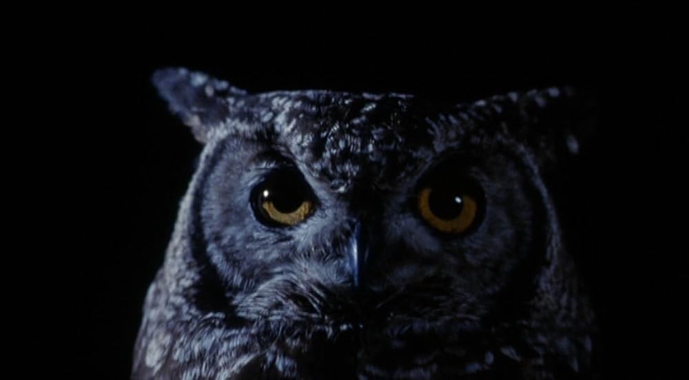 ダスト・デビルの画像