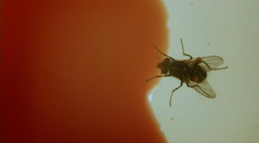 ダスト・デビルの画像