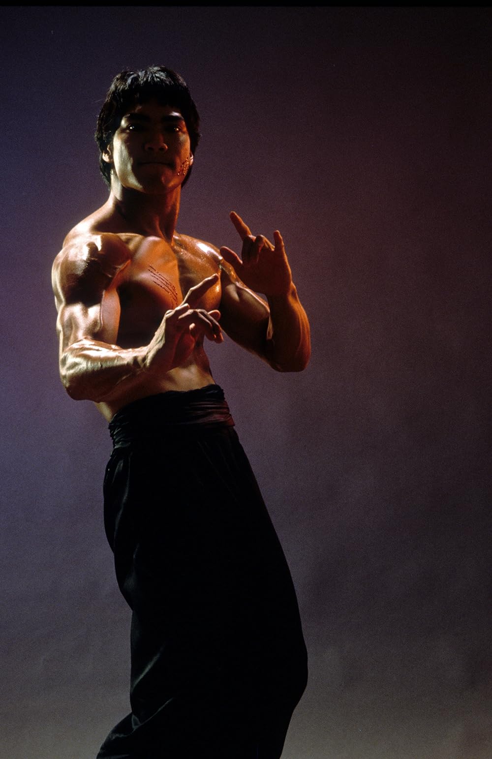 ドラゴン／ブルース・リー物語の画像