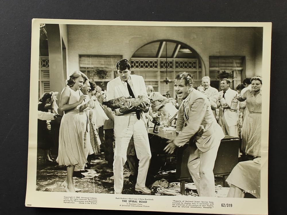 ジャングル地帯の画像