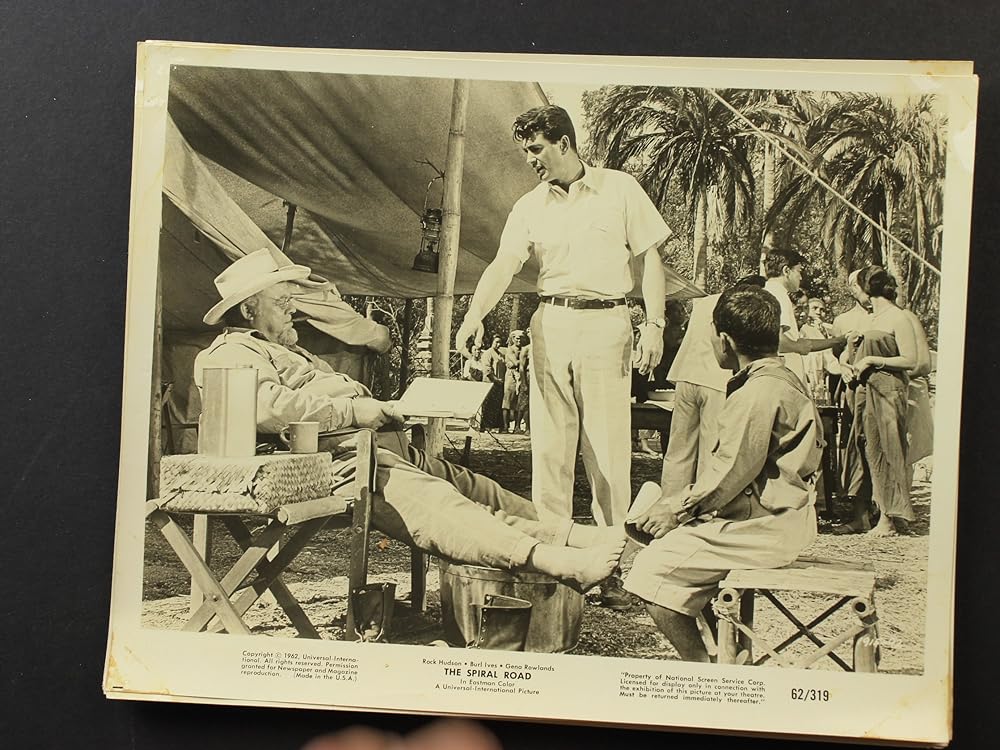 ジャングル地帯の画像