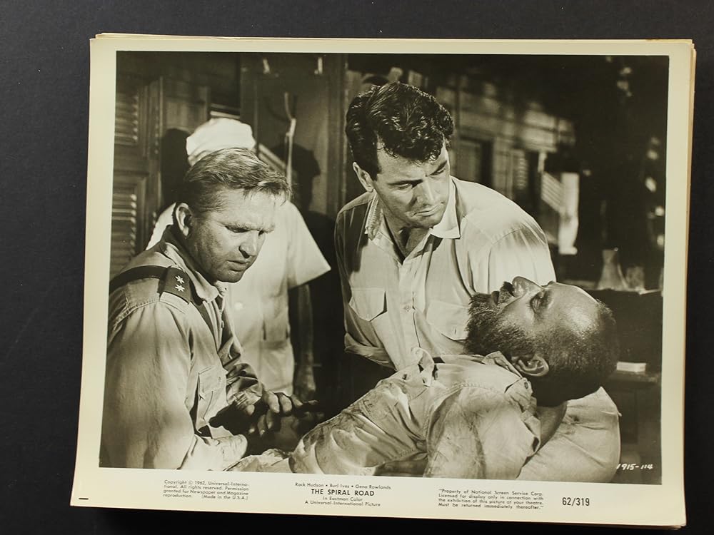 ジャングル地帯の画像