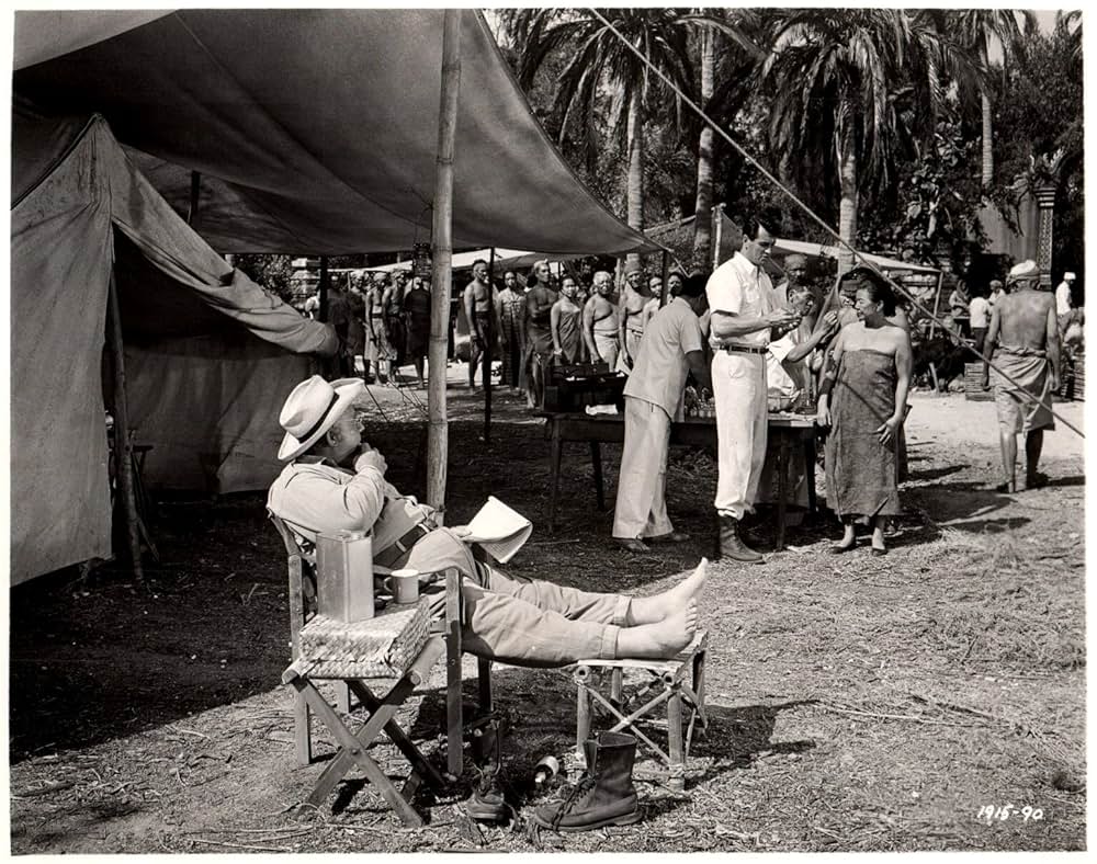 ジャングル地帯の画像