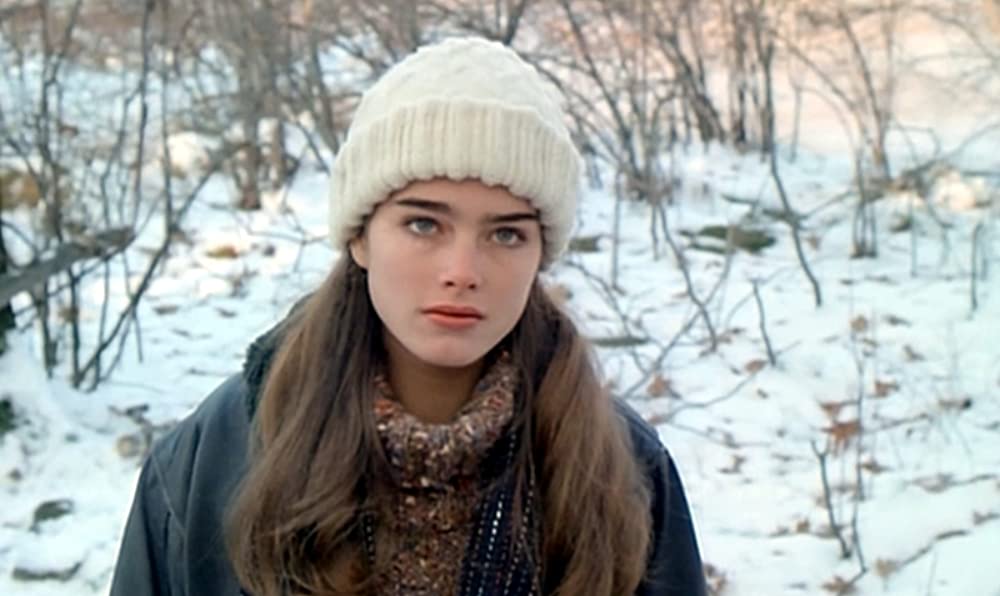 エンドレス・ラブの画像