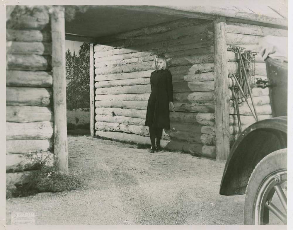 闇の中の音楽の画像