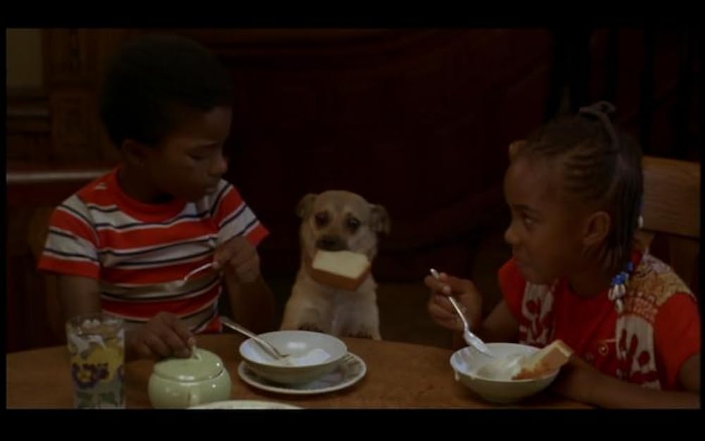 クルックリンの画像