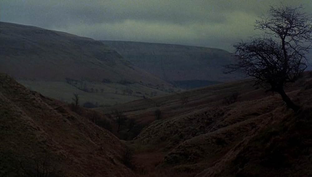 狼男アメリカンの画像