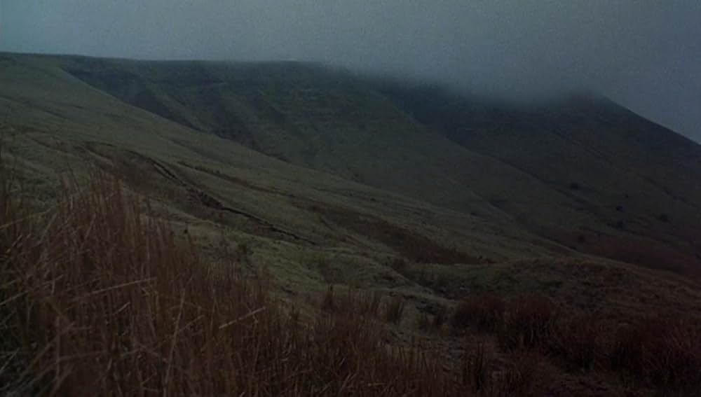 狼男アメリカンの画像